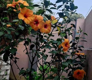 Ranchi Apartment | The Happy Homestay