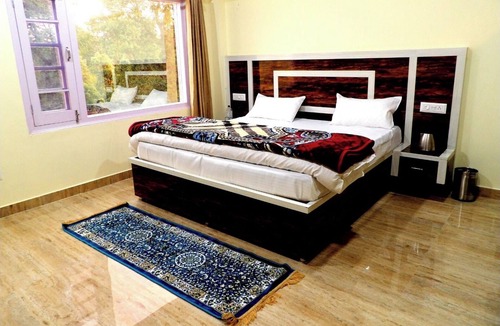 Shimla Other | The Hideaway Chail
