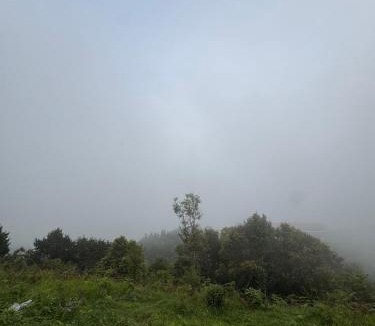 Mirik House | The Mirik Address