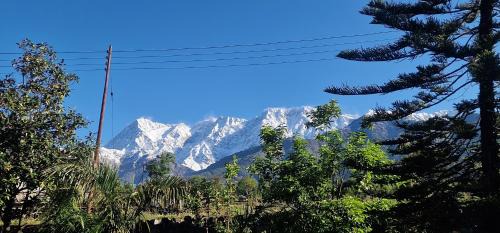 Chachian Resort | The Nagri Resort