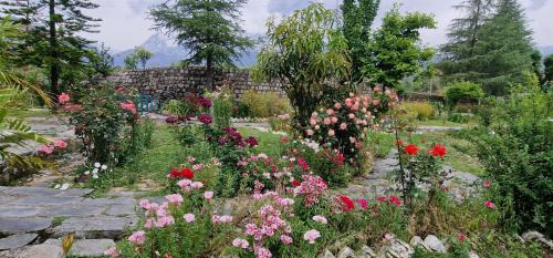 Chachian Resort | The Nagri Resort