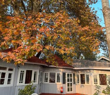 Nagin Bagh Hotel | The Nigeen Lodge