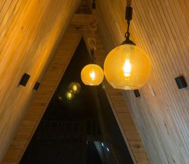 Theog House | The pahari prism A-frame StarGazing cabin