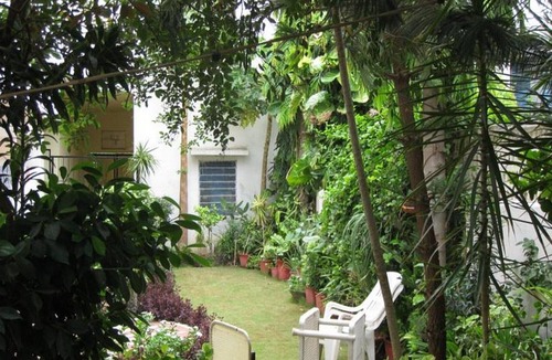 Udaipur House | The Perch Winsome Room