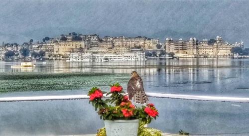 Shavri Colony Hotel | The Pichola by Travelista