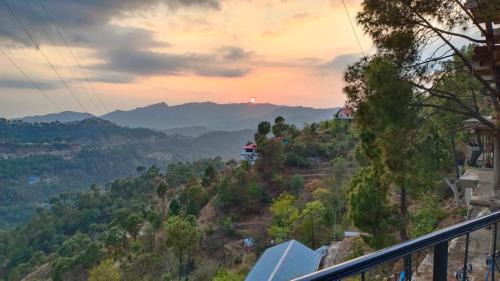 Kumarhatti House | The pine Nest