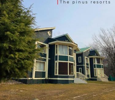 Pahalgam Hotel | The Pinus Resort