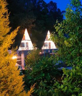 Bhimtal Hotel | The woodcrest by lake & woods