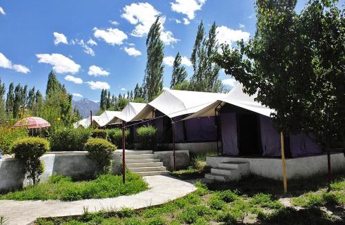 Nubra Valley Other | Tiger Camp Nubra
