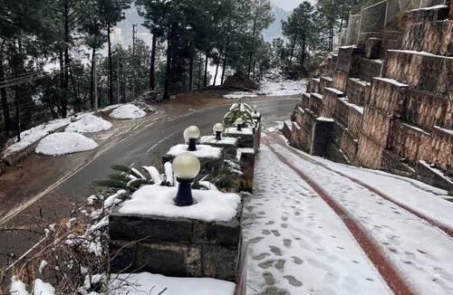 Kumarhatti Apartment | Valley View 1BHK near Solan, WiFi,Parking, Homestay for Couples, Workation Ready