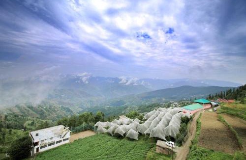 Fagu Hotel | Valley Vista Rooms l Restaurant and Cafe l Forest Treks l Kufri by Exotic Stays