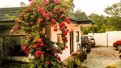 Katra Hotel | Van Durga Villas & Suites