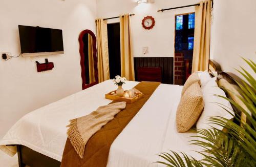 Vasant Vihar House | Vasant Retreat - A Calm Elegant South Delhi Home