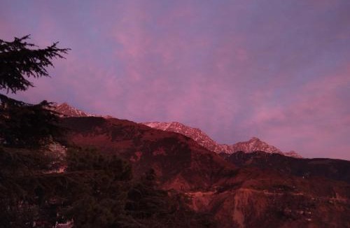 McLeod Ganj House | Verma Guest House