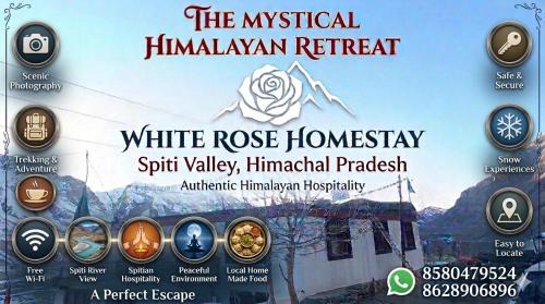Kaza House | White rose homestay