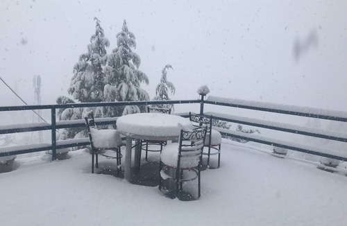 Manali Cottage | Wind Chimes Family Guest House Welcomes You