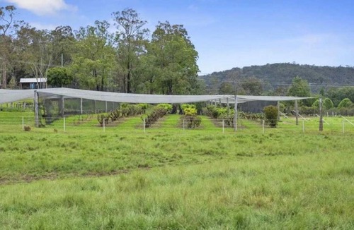Lower Portland House | Woodlands Hideaway at Reibey Estate by Tiny Away