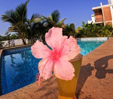 Bommayapalayam Other | Wow Buddha House