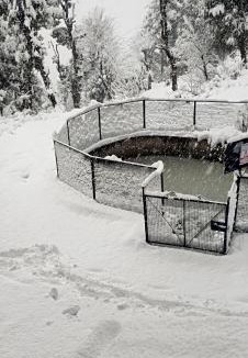 Shimla House | YATIKA HOMESTAY