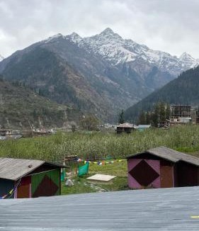 Kullu Other | Zmoksha