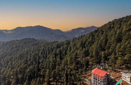 Khajjiar Hostel | Zostel Homes Khajjiar