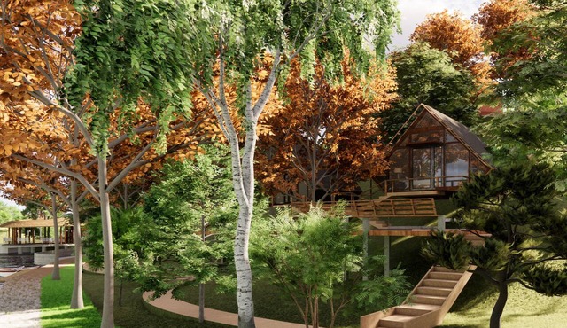 Amberwood Tea & Lake Resort