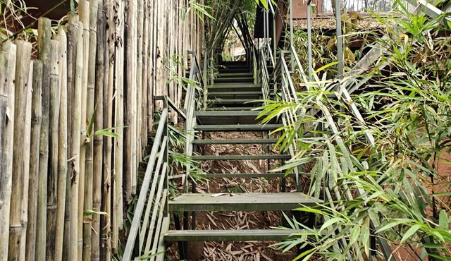 Amritara Dominics Nature Retreat Wayanad