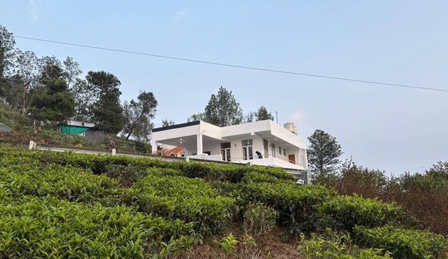 Aura Stay Kotagiri
