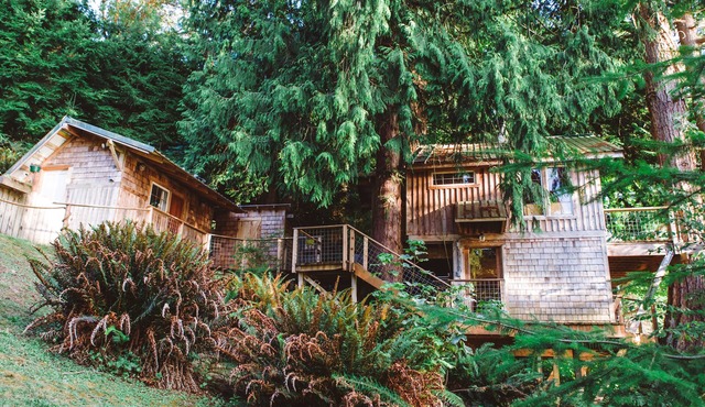 Beachfront Treehouse in the Heart of Puget Sound in Vashon