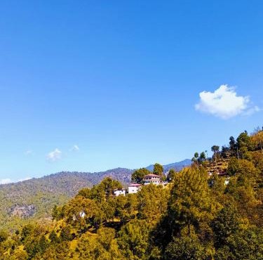 Boros Resorts Binsar