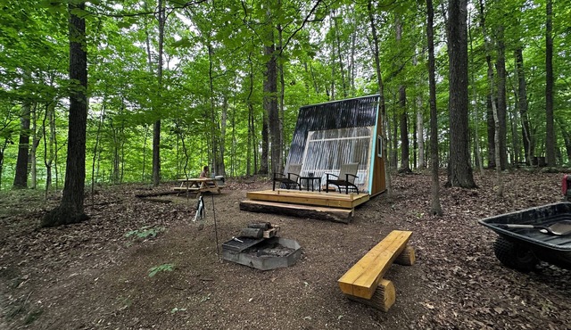 Charming A-frame cabin set in the woods overlooking deep wooded ravines. in Charleston