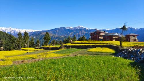Colonel's Barot Highland Retreat