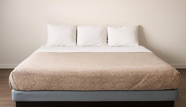 Downtown Wolf Point Stay + Free Parking | Cattlemen's Cut (Casino) - 6.4 miles in Wolf Point