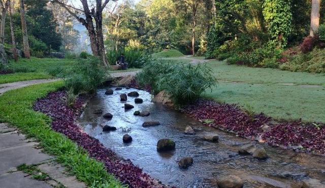 Ekantha Wellness - Kodai Hills