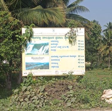 farm