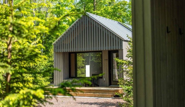 Forest Edge Escape at Dimensions | Cabin Sixteen in Algonquin Highlands