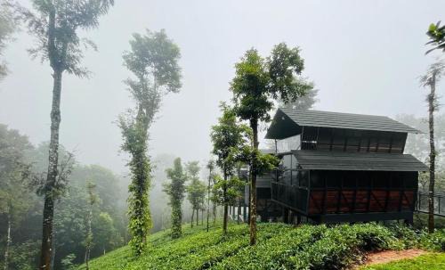 Fresh Wave Resort With Private Pool Tree House - Soochipara - Wayanad in Meppādi