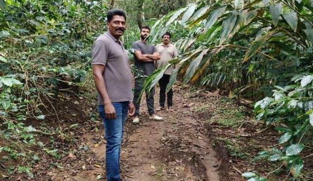 Guthigar Adventure Estate & Traditional Homestay in Sullia