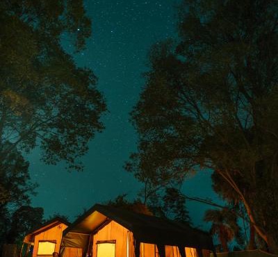 H2H Bir l Nature Camps