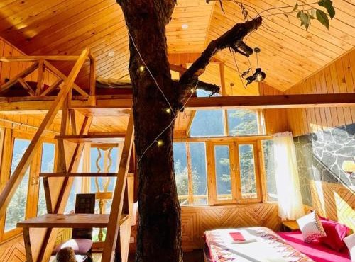 Hideaway Tree House