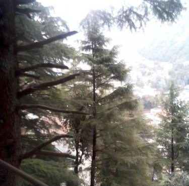 Himalayan Hostel Snowline Trekkers Hostel