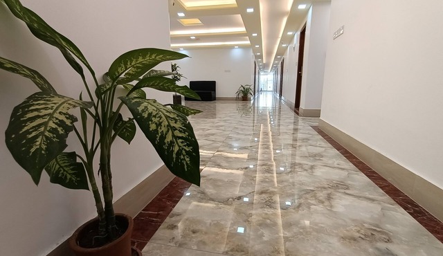 Hotel D-Palace