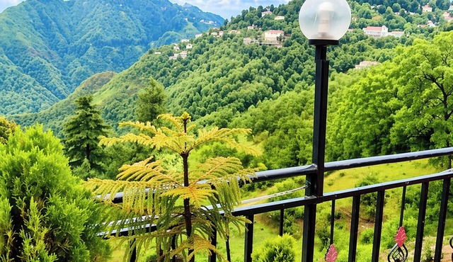 Hotel Kaafal Homestay Mussoorie