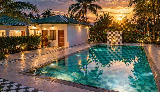 Jungle Nest Retreat Resort