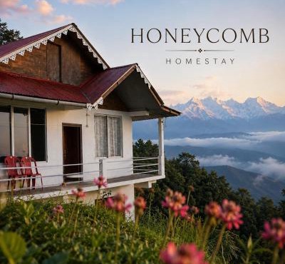 Kagey Honeycomb Homesaty