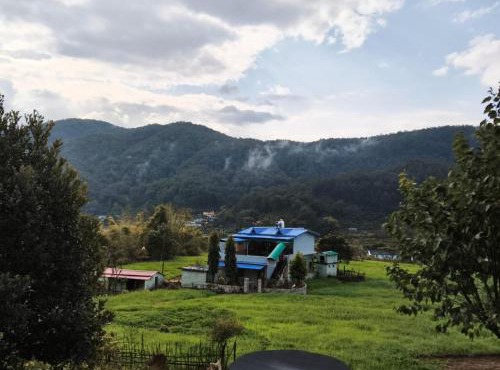 Kartiya village homestay