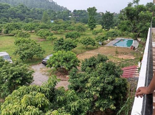 Katapathar Nature Resort