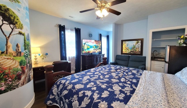 King Sapphire Studio Suite, Kitchenette, 65" TV Private Bathroom Pets Welcome in Hampton