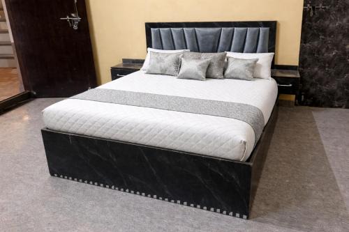 Krishna plaza & hotels