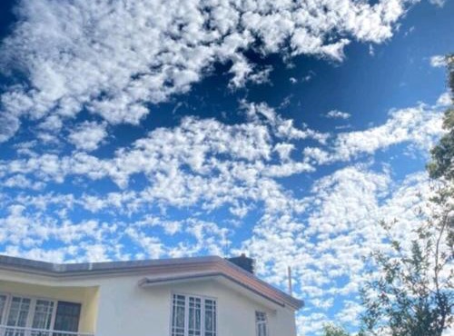 Lotus Villa Homestay